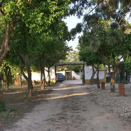 Pateo Das Laranjeiras Tomar Exterior photo